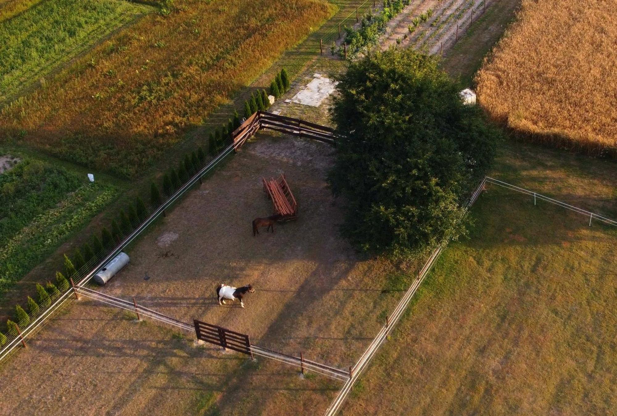 Agroturystyka Kraina Jezior Ludwin Luaran gambar